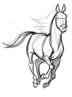 236x315 Image Result For Galloping Horses Drawings Easy Copy Cat