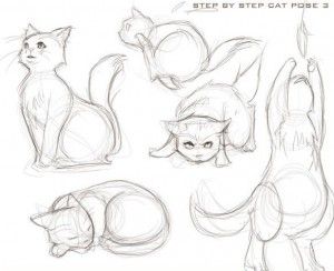 300x244 How To Draw A Cat The Online Drawing Course Drawingpainting