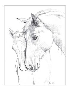 236x305 Pencil Drawing Course Created By Dennis And Nolan Clark (Pictured