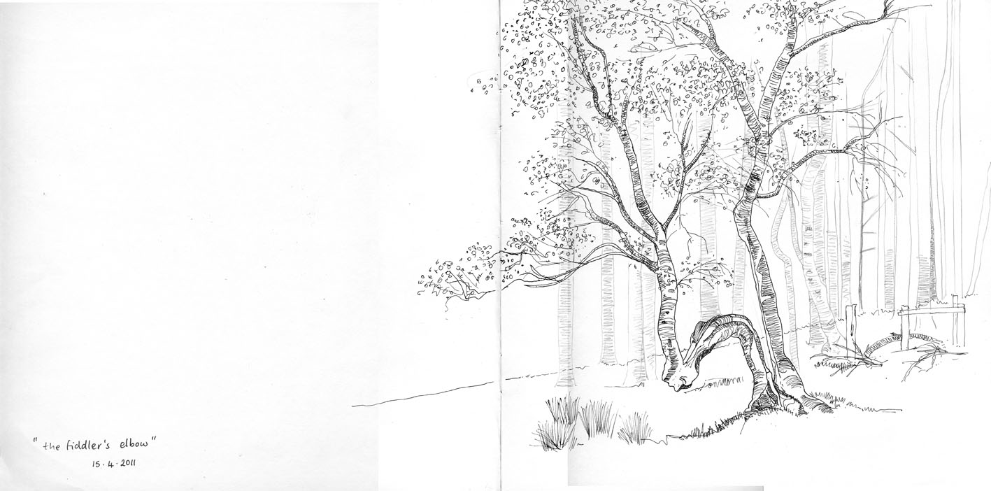 1417x702 Janet Dickson