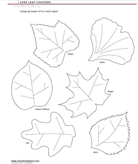 466x555 Fun And Facts With Kids Fall Leaf Inspirations With Kids!