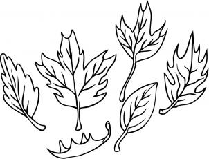 302x230 How To Draw How To Draw Leaves