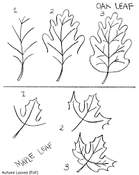 200x252 Image Result For How To Draw Leaves Step By Step For Kids