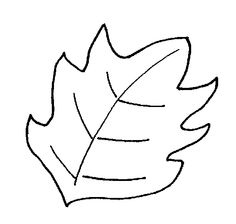 Drawing Fall Leaves Step By Step at GetDrawings | Free download