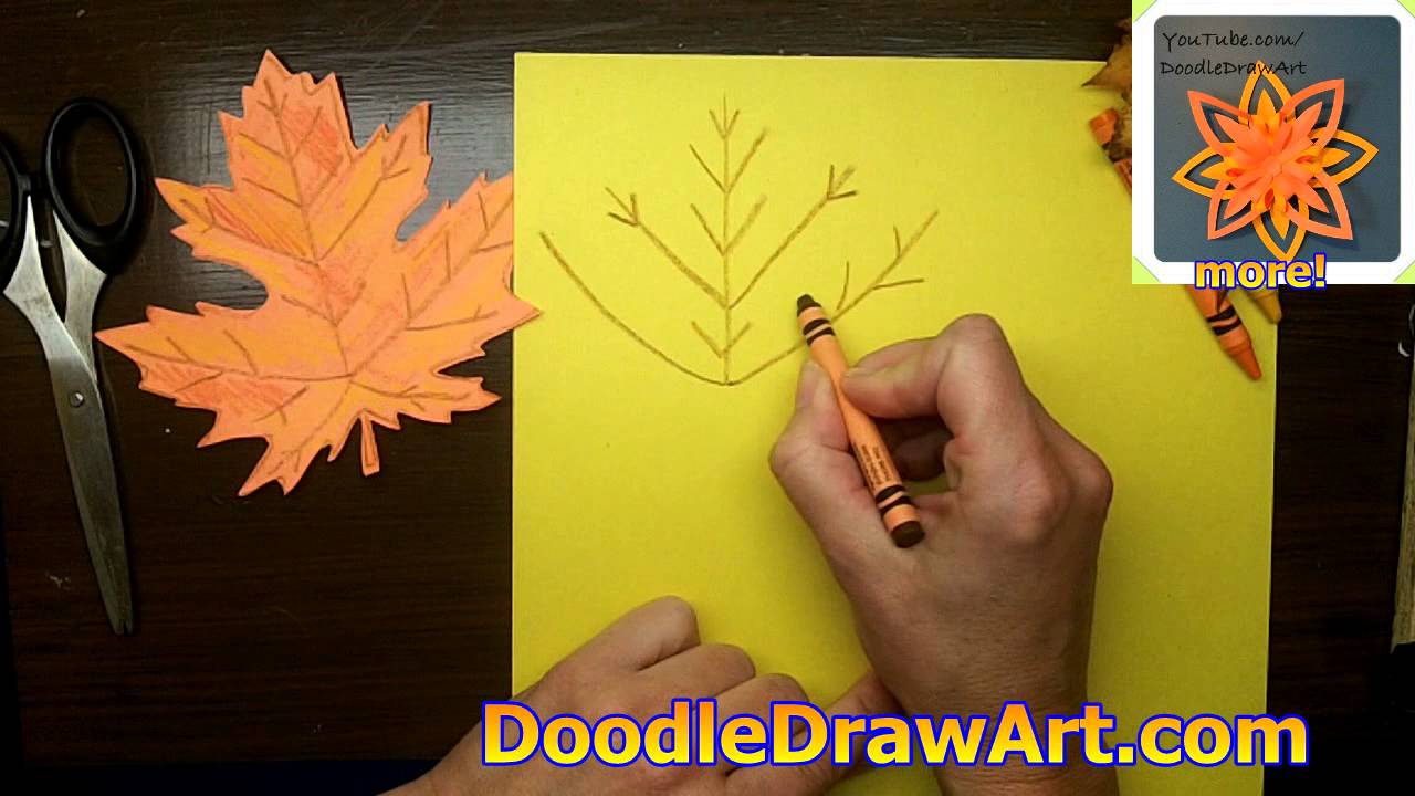 1280x720 How To Draw And Make A Maple Leaf For Fall