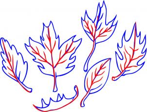 302x230 How To Draw How To Draw Leaves