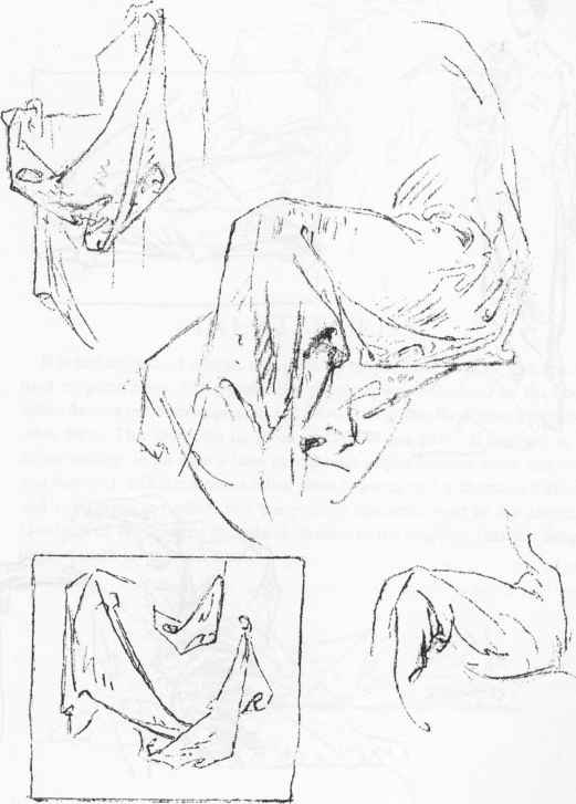 521x727 Halflock Folds