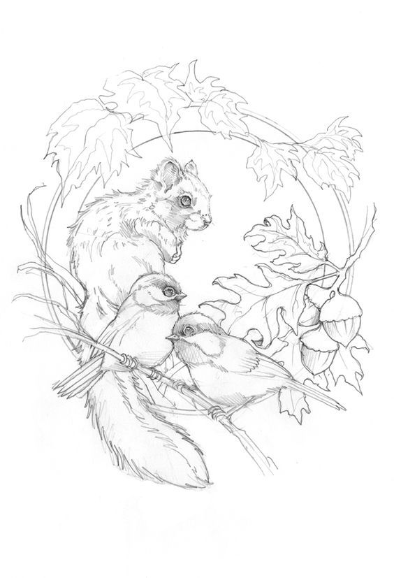 564x827 Kleurplaat Antistress, Kunst, Inspiratie, Hobby) Vk Tekenen