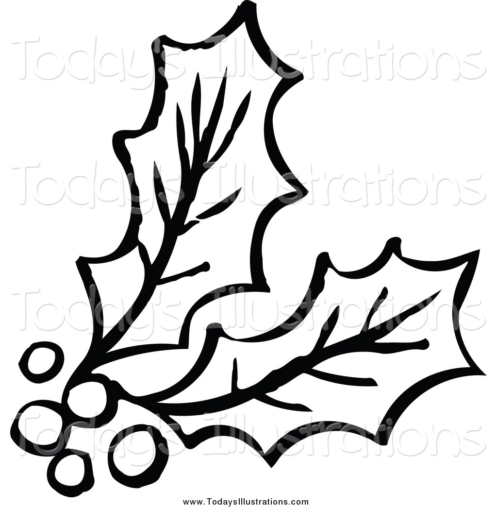 1024x1044 Collection Of Drawing Holly Leaves And Berries High Quality
