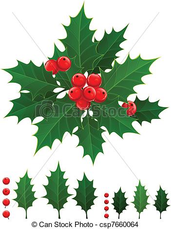 351x470 Holly Berry. Christmas Branch Of Holly Berries And Green Leaves