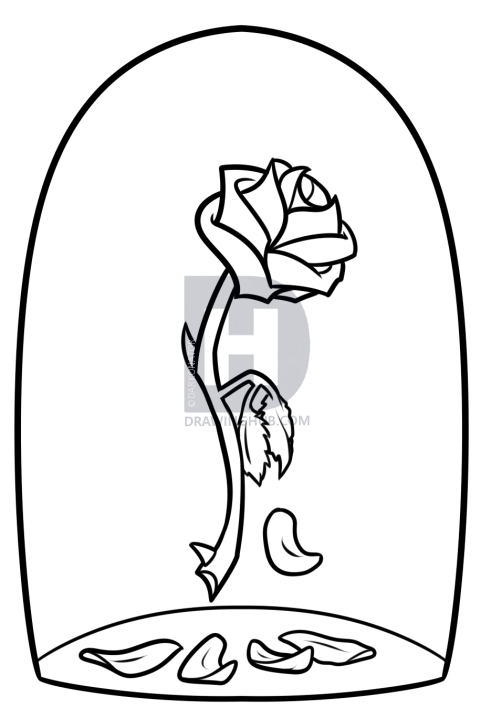 502x719 Beauty And The Beast Rose Drawing, Step By Step, Drawing Guide, By