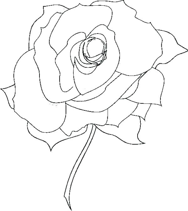 600x673 Coloring Rose Sonic Underground Coloring Pages Sonic Underground