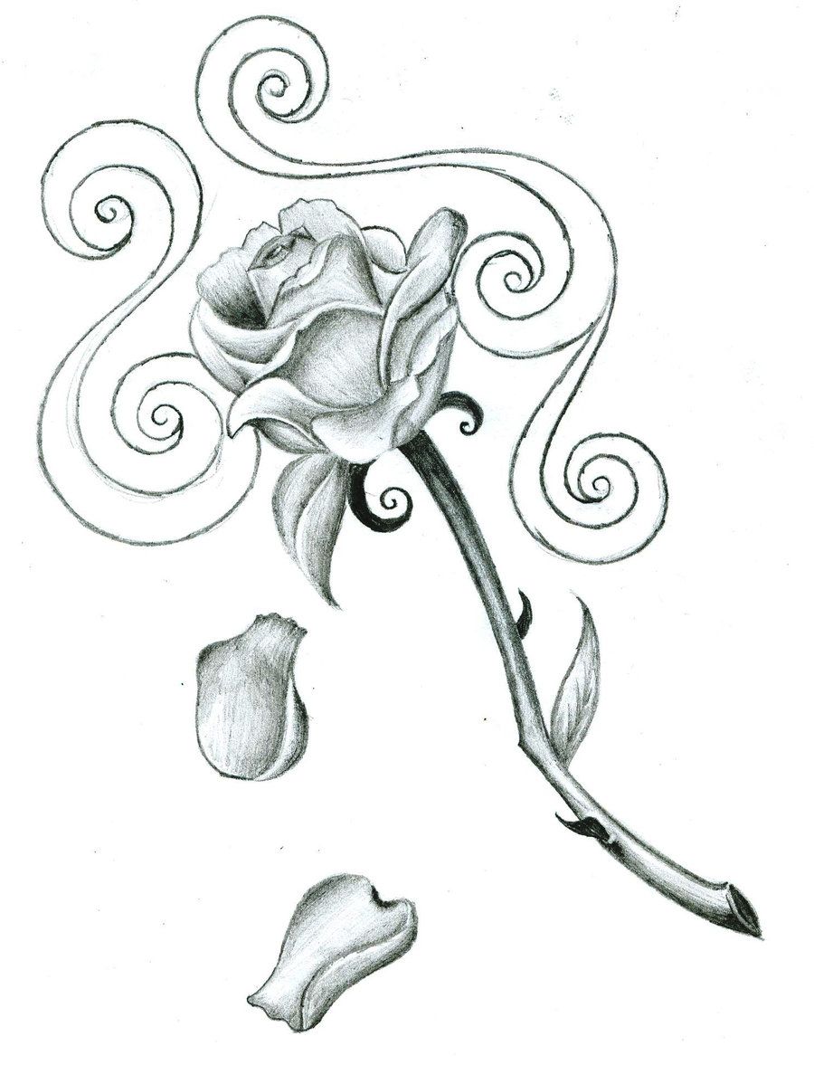900x1177 Large Free Printable Tattoo Designs Free Download Rose Tattoo
