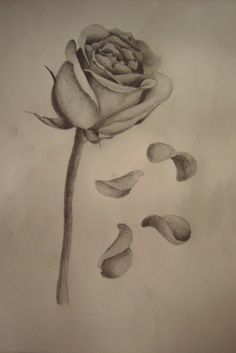236x353 Pic Of Tattoos Dying Roses Losing Petals
