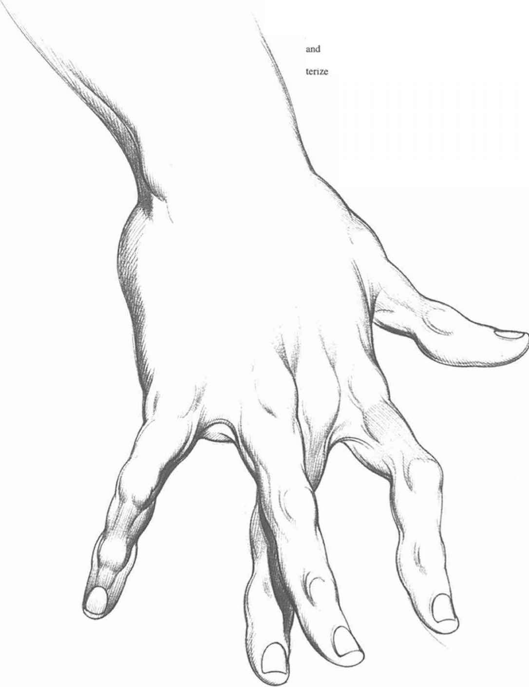 1086x1409 Infancy To One Year