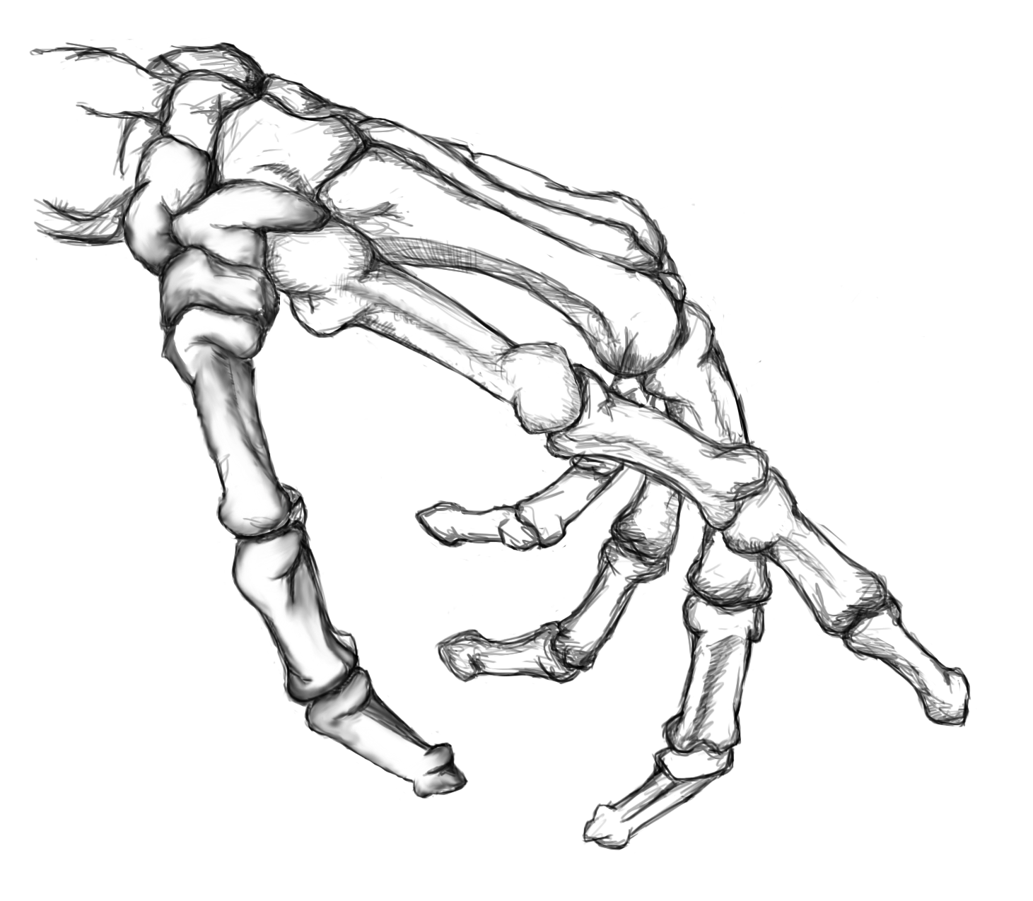 1461x1275 Collection Of Skeleton Hand Reaching Out Drawing High
