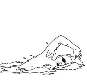 300x279 Collection Of Swimming Line Drawing High Quality, Free