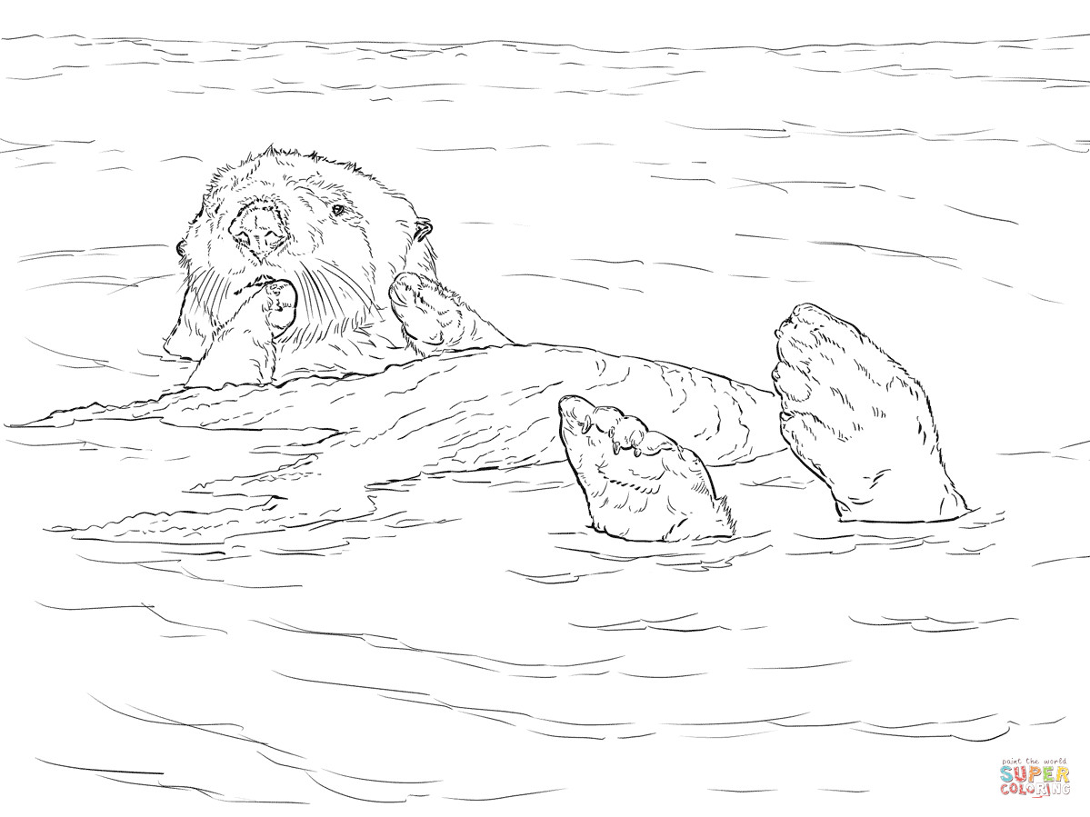 1199x899 Sea Otter Coloring Page Awesome Otter Outline Drawing