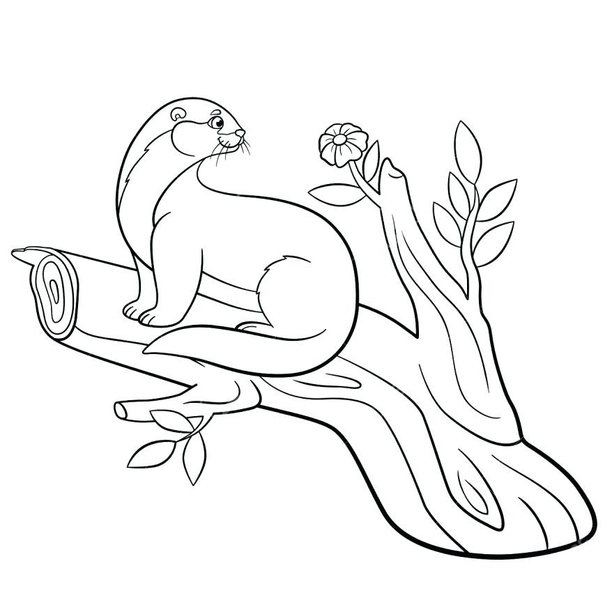 878x878 Sea Otter Coloring Page Elegant Cute Otter Drawing