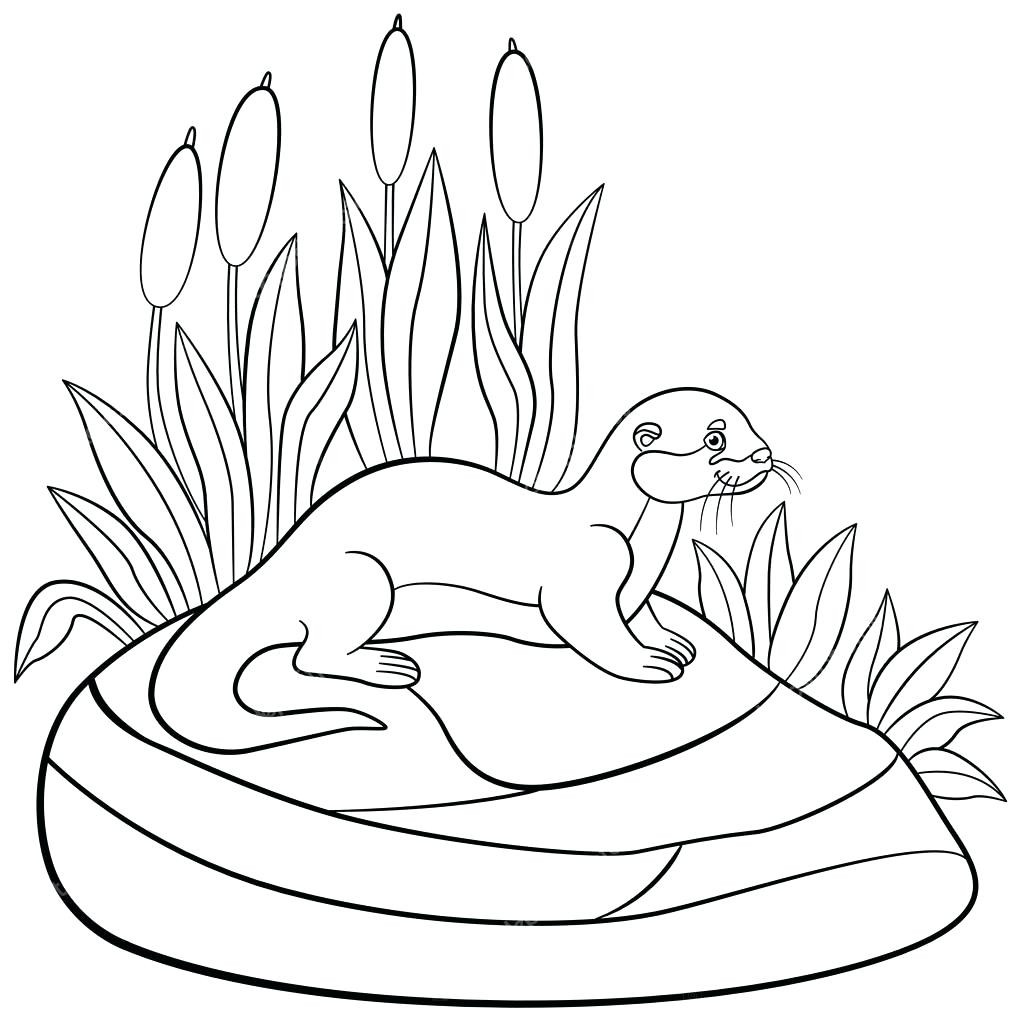 1024x1024 Sea Otter Coloring Page New 12 Best Sea Otters Images