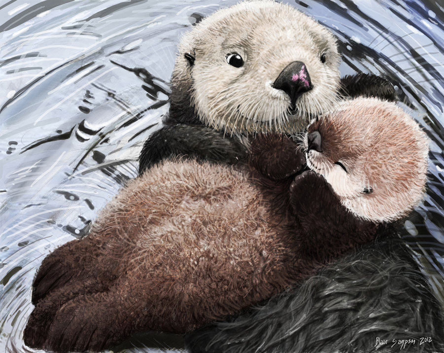 900x716 Sea Otter Mom's Soft Lullaby By Psithyrus