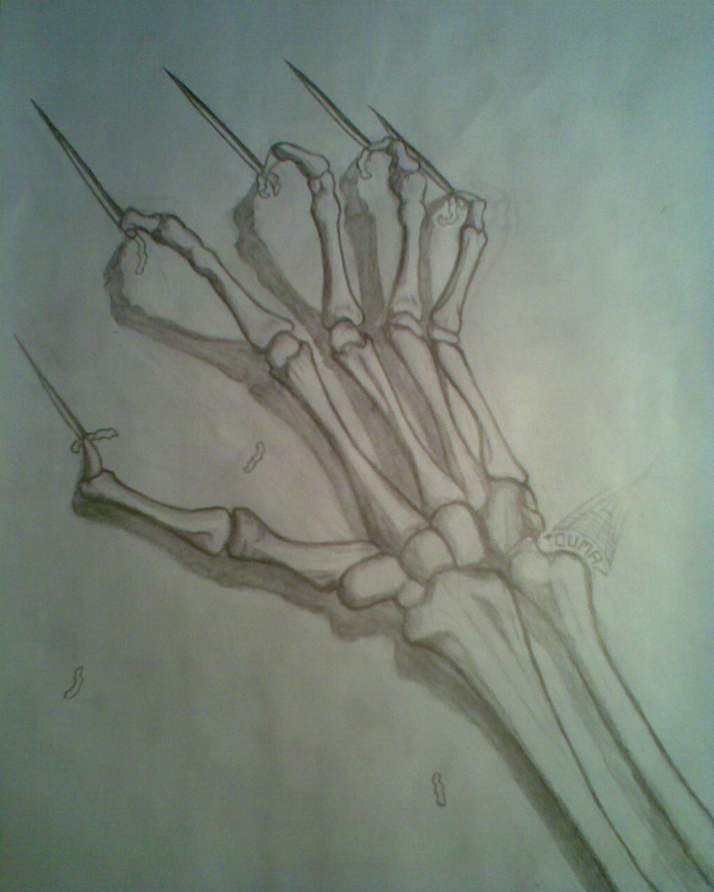 1024x1280 Skeleton Hand Drawing