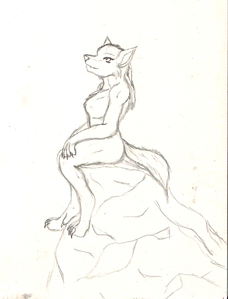 761x1000 Lady Wolf Sitting Sketch By Timidtabby84