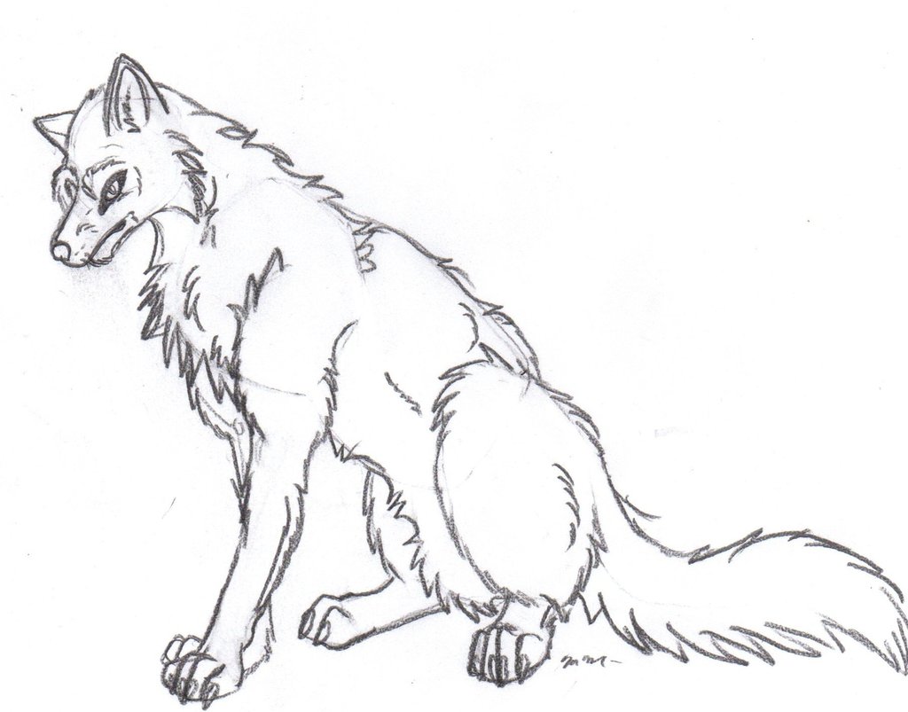 1024x803 Sitting Wolf By Lone Assasin