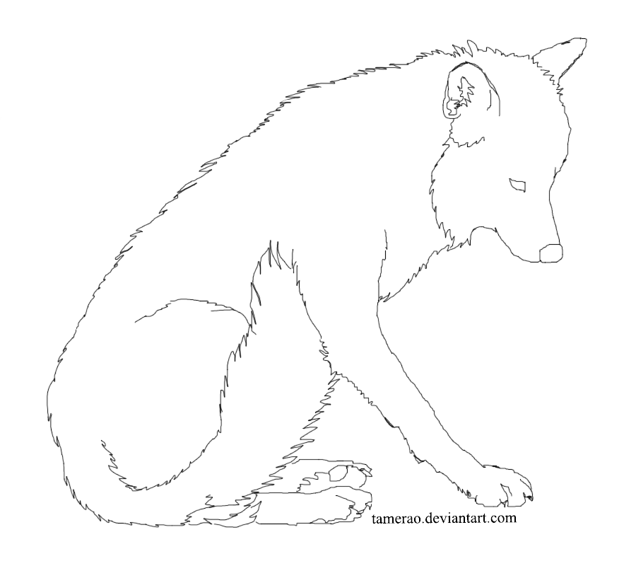 900x800 Wolf Lineart Sitting By Tamerao