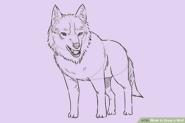 728x485 Photos How To Draw A Wolf Sitting,