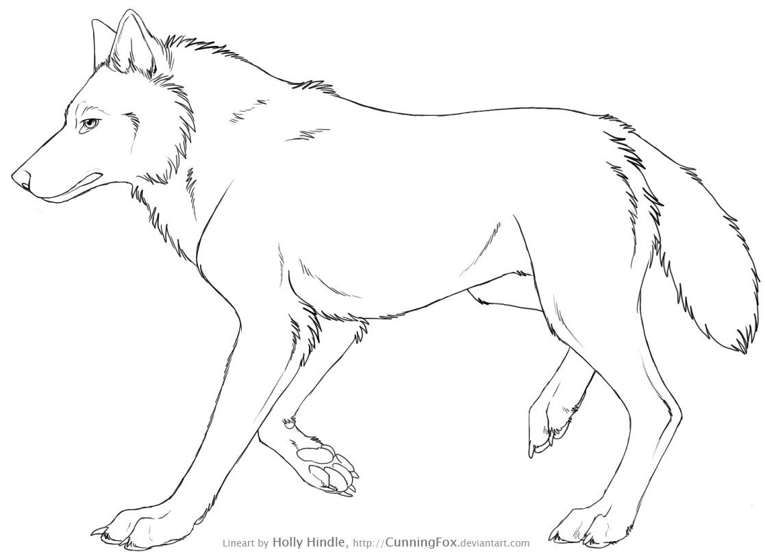 1117x806 Free Wolf Lineart