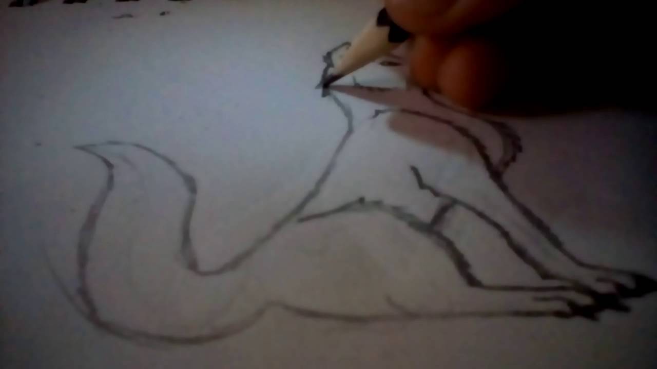 1280x720 How To Draw A Wolf Sitting