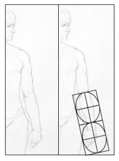 239x325 Paint Draw Paint, Learn To Draw Drawing Basics Proportions