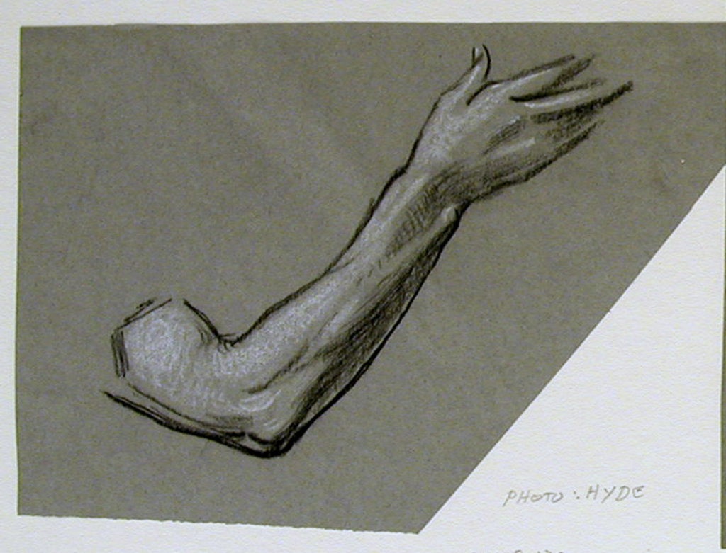 1024x781 Drawing, Detail An Arm, Ca. 1885 Objects Collection