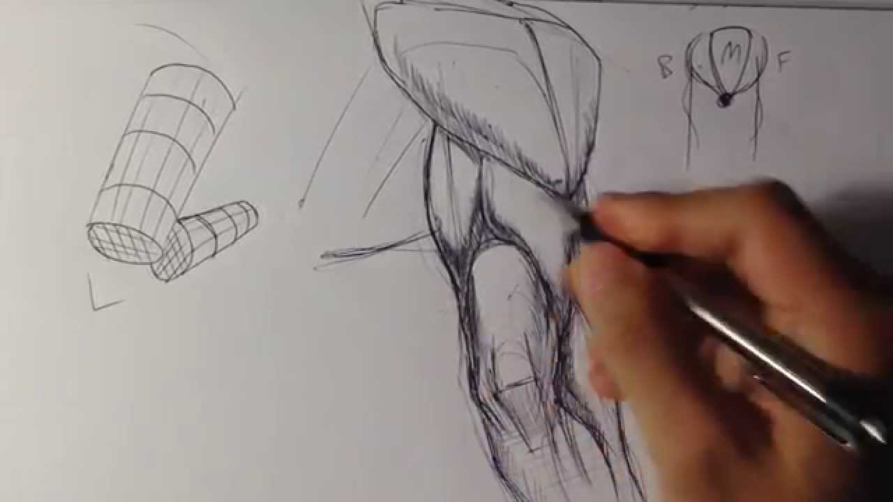 1280x720 How To Draw An Arm