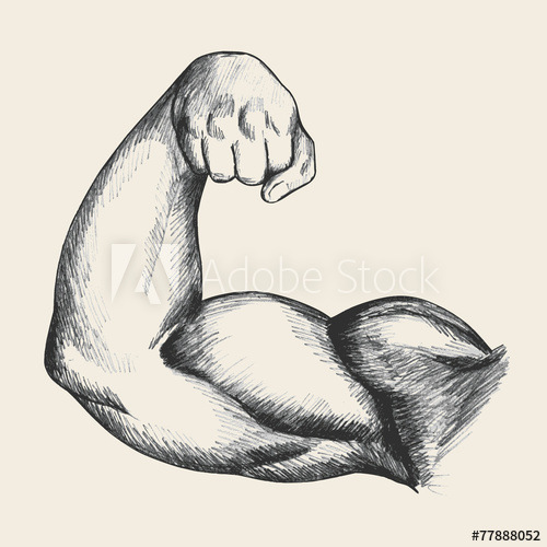 500x500 Sketch Illustration Of Muscular Human Male Right Arm