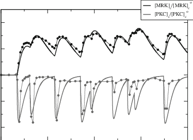 381x276 Evolution Of Pkcnd Marcks Concentration In The Cytoplasmfter