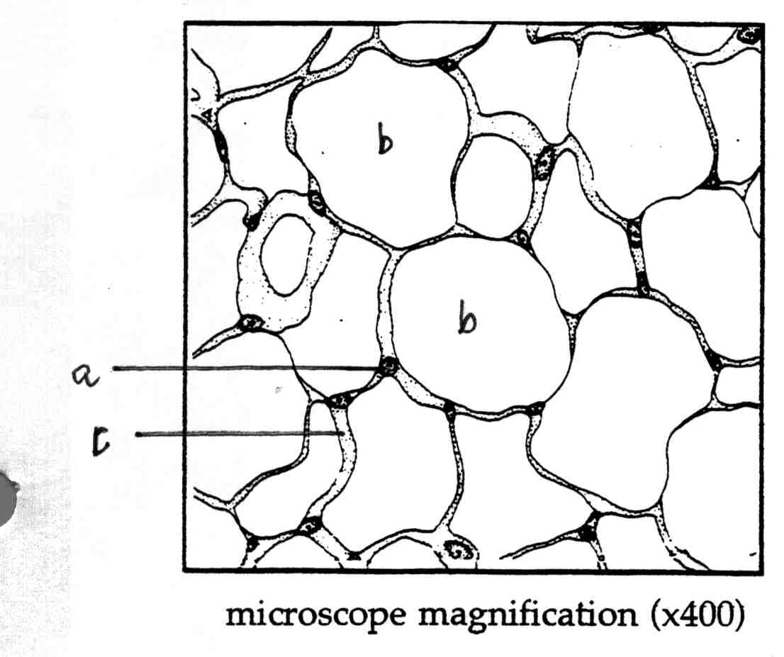 1106x927 Figure8.html