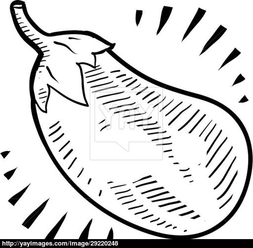 512x502 Eggplant Sketch Vector