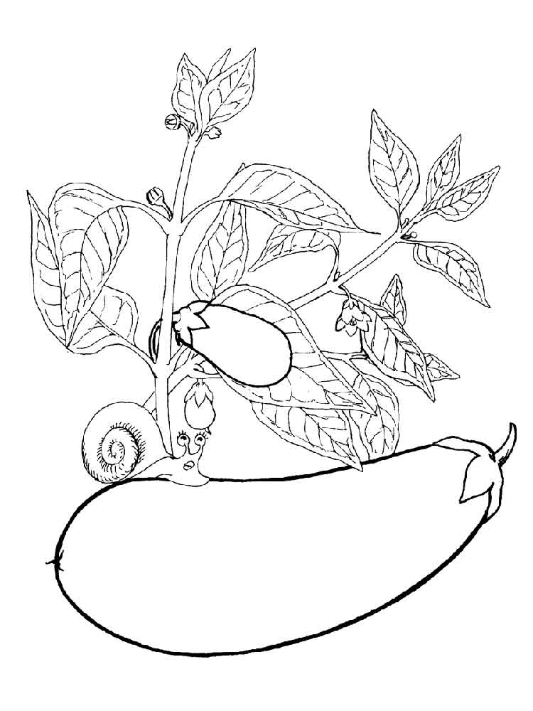 750x1000 Free Printable Eggplant Coloring Pages For Kids
