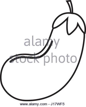 300x373 Eggplant Vegetable Healthy Nutrition Icon Purple Circle Stock