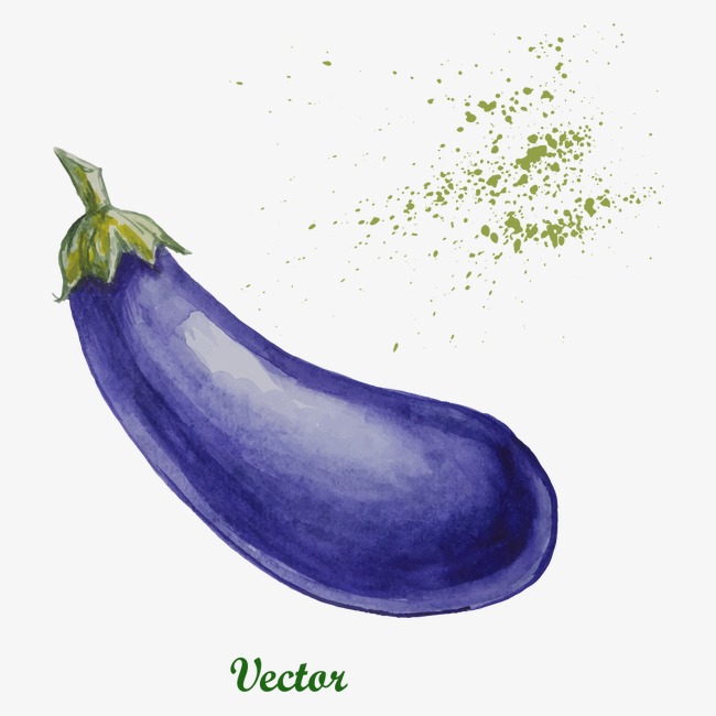 650x650 Drawing Eggplant, Watercolor Vegetables, Vector Vegetables
