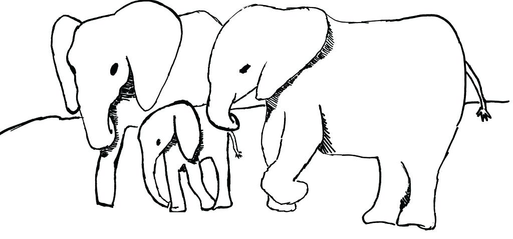 1024x477 Elephant Outline Trunk Up Letters Example Elephant Trunk Up Pencil