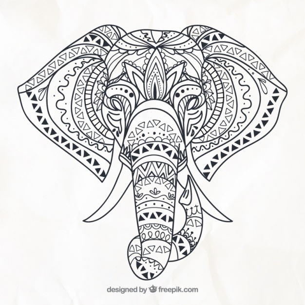 626x626 Elephant Vectors, Photos And Psd Files Free Download