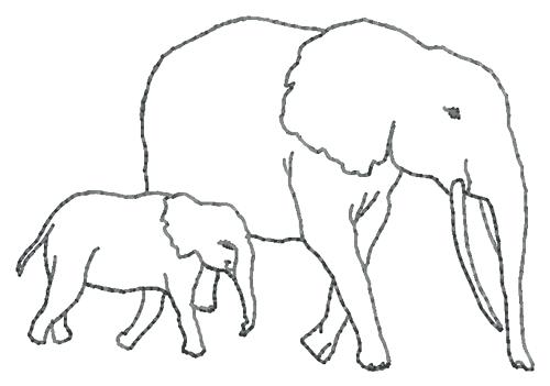 500x351 Outline Elephant Drawing Baby Elephant Coloring Sheet Printable