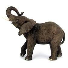 225x225 Elephant Trunk Up Drawing