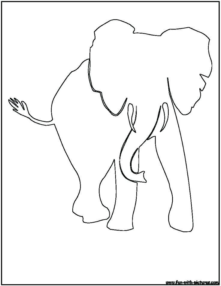 736x952 Baby Elephant Outline Drawing Embroidery Designs Machine