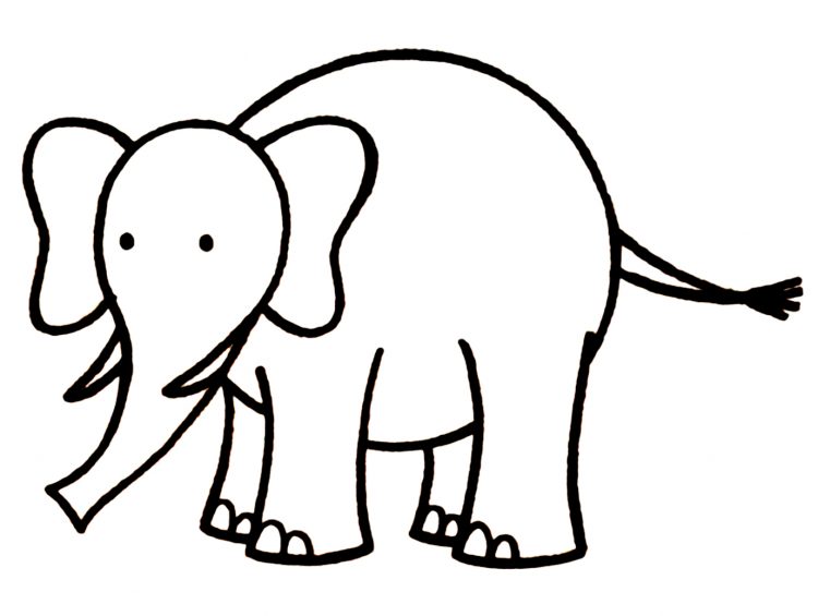 750x565 Drawing Simple Elephant Drawing Tumblr In Conjunction