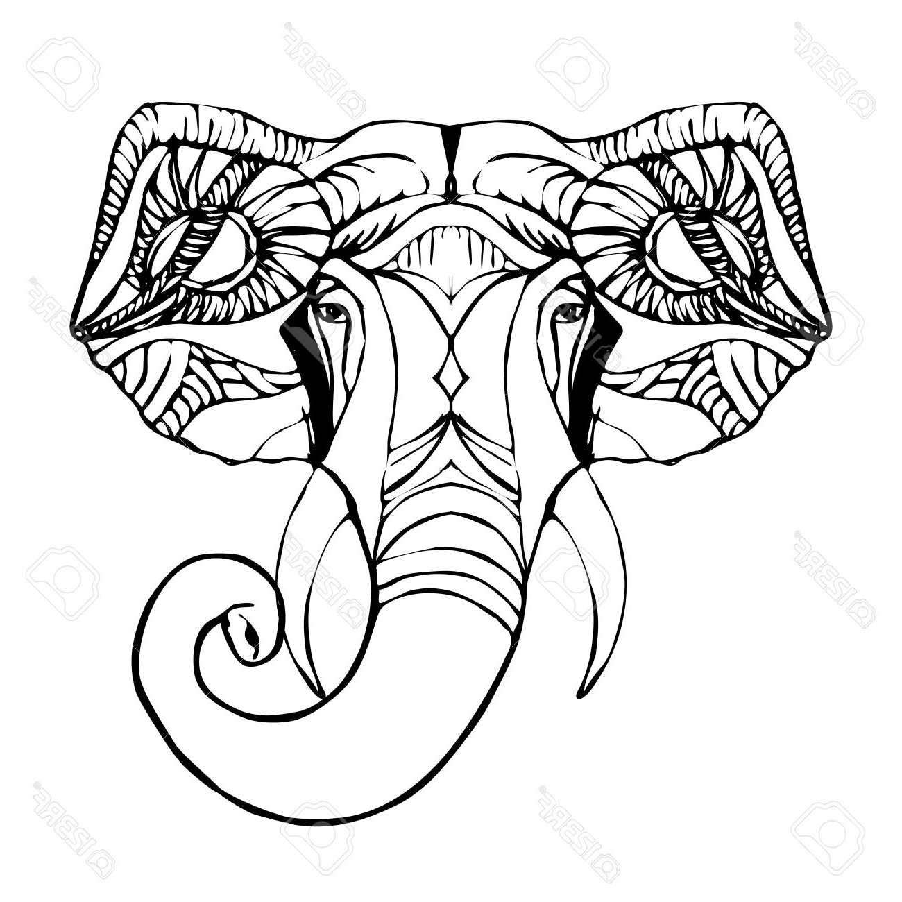 1300x1300 Indian Elephant Face Drawing
