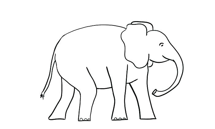 700x421 Indian Elephant Outline Drawing Children Coloring Outline Drawing